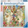 Flora And Fauna World Map 17117, 80 cm x 121 cm, 3000 vnt. Ravensburger dėlionė