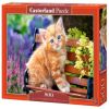 Ginger Kitten B-52240, 47 cm x 33 cm, 500 vnt. Castorland dėlionė