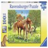 Horses 105779, 49 cm x 36 cm, 100 vnt. Ravensburger dėlionė