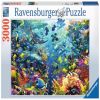 17067, 48.5 cm x 33.5 cm, 3000 vnt. Ravensburger dėlionė