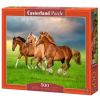 Horses in Spring Rush B-54084, 33 cm x 47 cm, 500 vnt. Castorland dėlionė