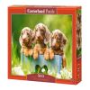 Cute Dachshunds B-53605, 33 cm x 47 cm, 500 vnt. Castorland dėlionė