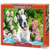 French Bulldog Puppy 53650, 33 cm x 47 cm, 500 vnt. Castorland dėlionė
