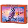 Owl's Perfect Evening B-54022, 68 cm x 47 cm, 500 vnt. Castorland dėlionė