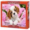 Pup in Pink Flowers B-52233, 500 vnt., rožinė Castorland dėlionė