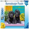 Puppies, 300 vnt. Ravensburger dėlionė