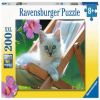 Cat Photo 13289, 49 cm x 36 cm, 200 vnt. Ravensburger dėlionė