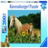 Horse Fortune 12628, 49 cm x 36 cm, 200 vnt. Ravensburger dėlionė