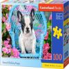 French Bulldog Puppy 369060, 29 cm x 40 cm, 100 vnt. Castorland dėlionė