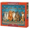 Cat Aristocracy B-53469, 500 vnt. Castorland dėlionė