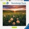 Nature Edition Dandelions In The Sunset, 36 cm x 49 cm, 500 vnt. Ravensburger dėlionė