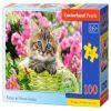 , 100 vnt. Castorland dėlionė