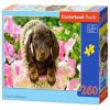 Cute Dachshund B-27514, 32 cm x 23 cm, 260 vnt. Castorland dėlionė