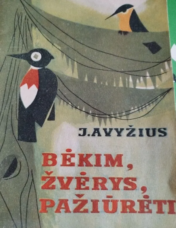 Bėkim žvėrys pažiūrėti