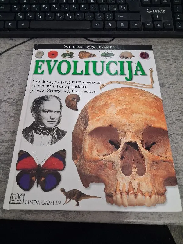 Žvilgsnis į pasaulį. Evoliucija