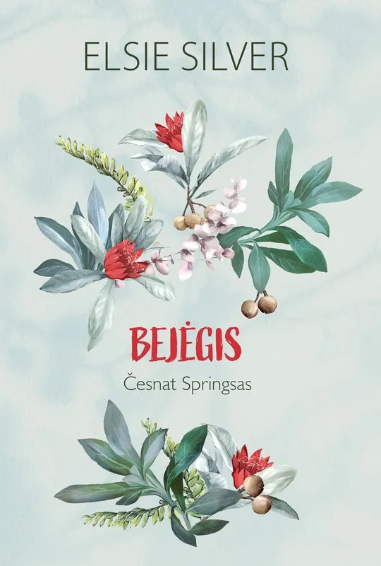 Bejėgis