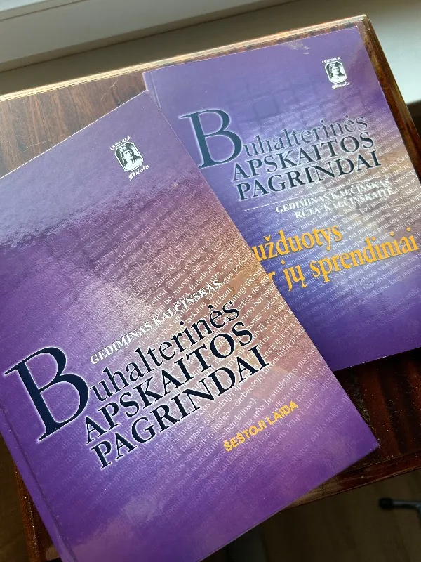 Buhalterinės apskaitos pagrindai