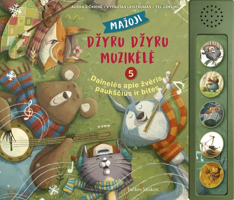 Mažoji džyru džyru muzikėlė
