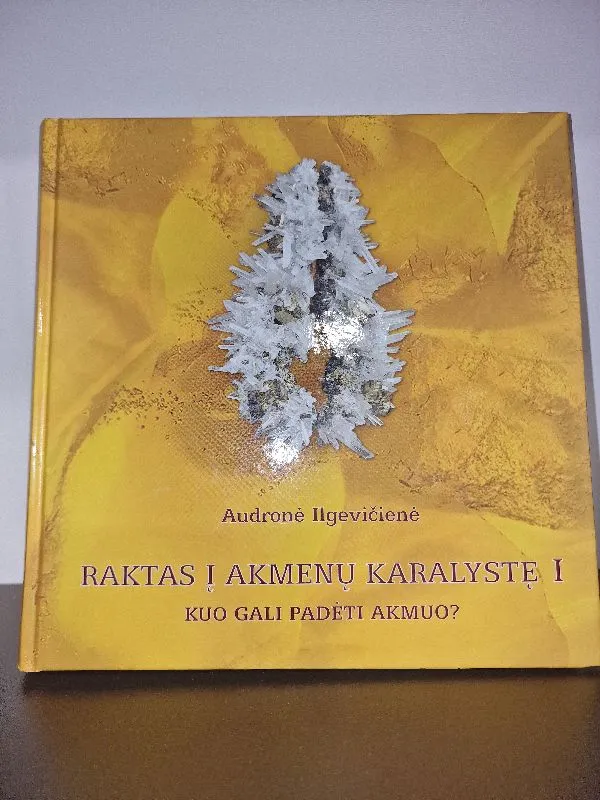 Raktas į akmenų karalystę I