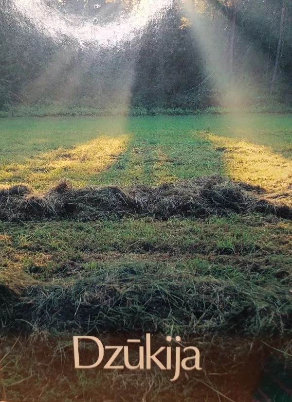 Dzūkija