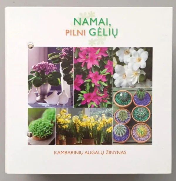 Namai pilni gėlių