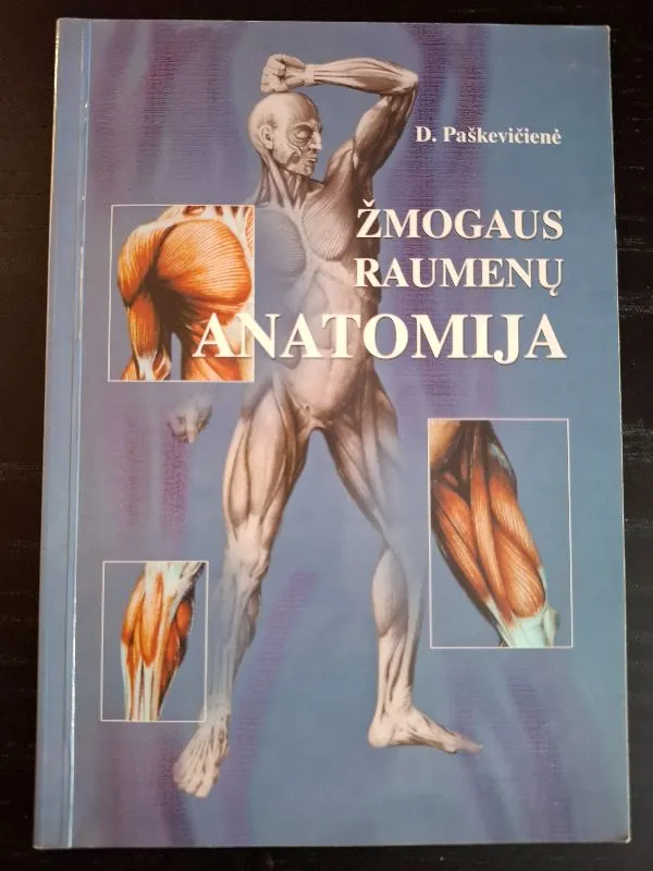 Żmogaus raumenų anatomija