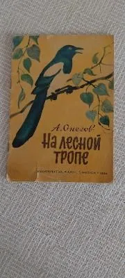 на лесной тропе