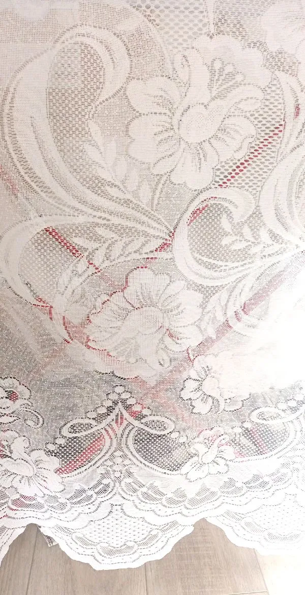 Dieninė užuolaida 4,8x2,95m