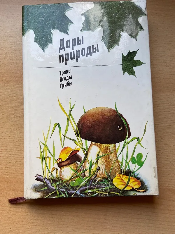 Gamtos gėrybės