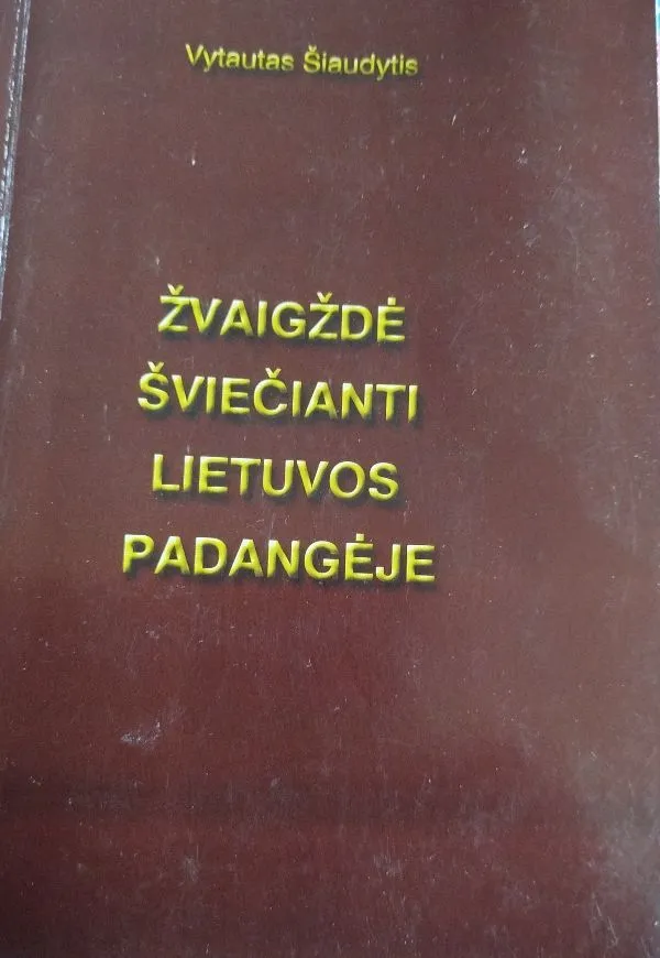 Žvaigždė šviečianti Lietuvos padangėje