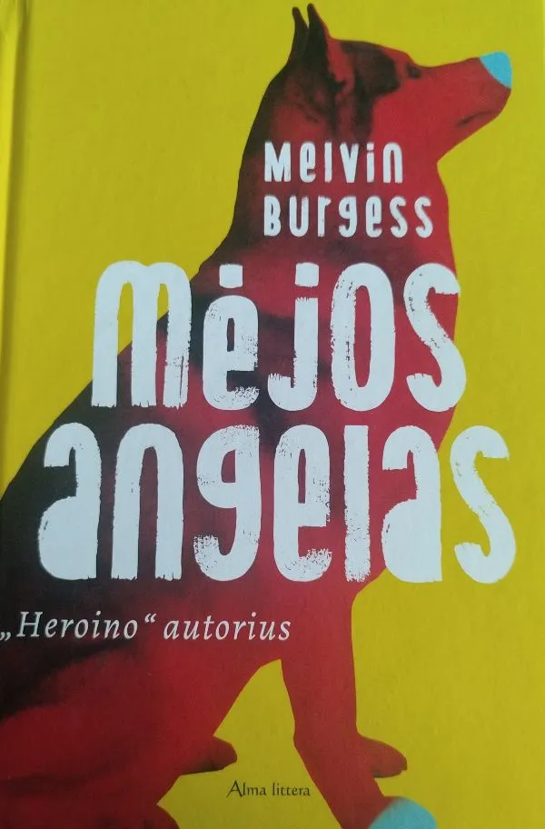 Mėjos angelas