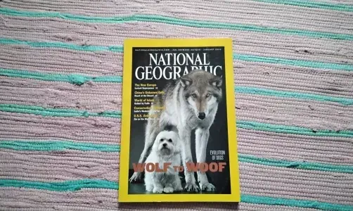 NATIONAL GEOGRAPHIC WOLF TO WOOF