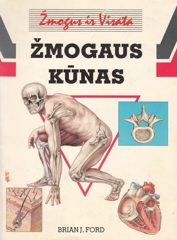 Žmogaus kūnas