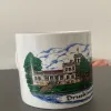 Puodelis “Druskininkai”