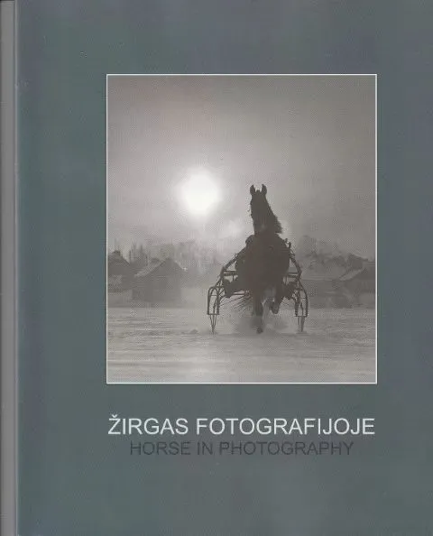 Žirgas fotografijoje (2008)