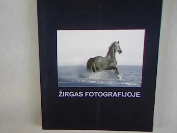 Žirgas fotografijoje (2010)