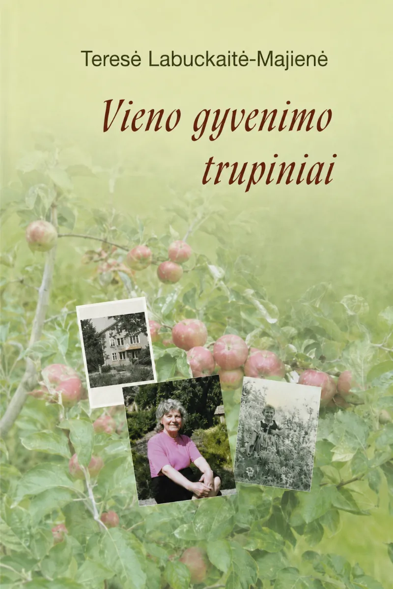 Vieno gyvenimo trupiniai