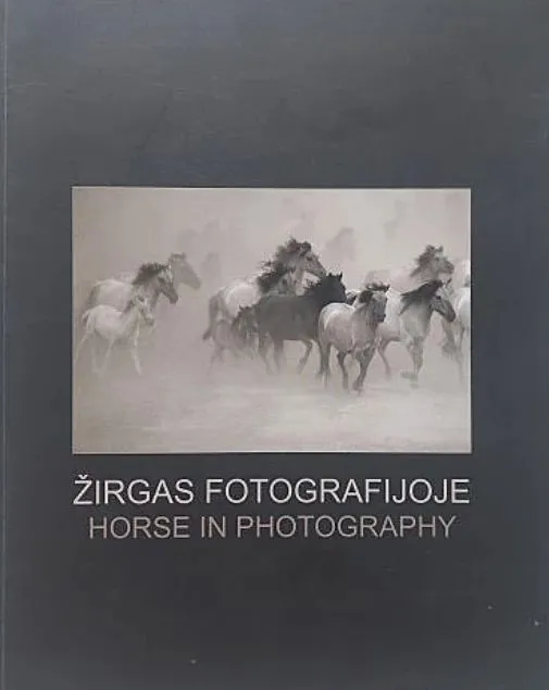 Žirgas fotografijoje (2013)