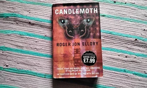 Candlemoth