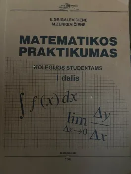 Matematikos praktikumas
