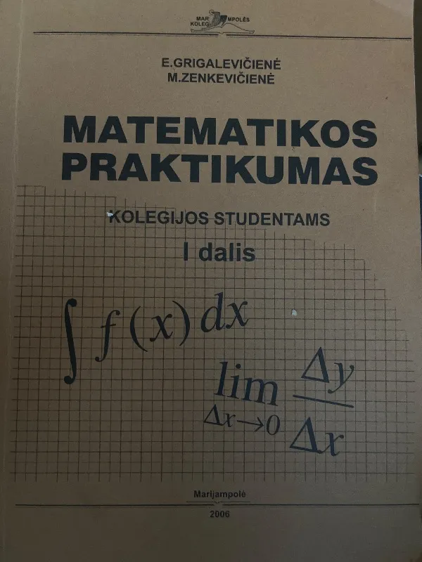 Matematikos praktikumas