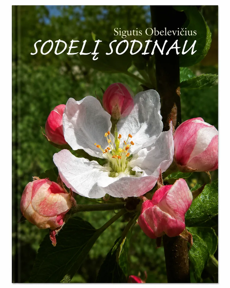 Sodelį sodinau