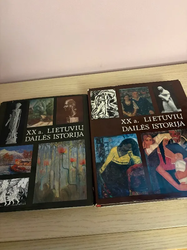 XX a. Lietuvių dailės istorija