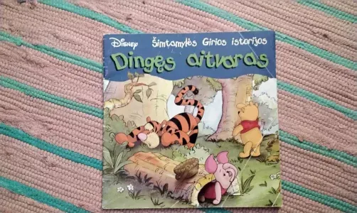 Dingęs aitvaras