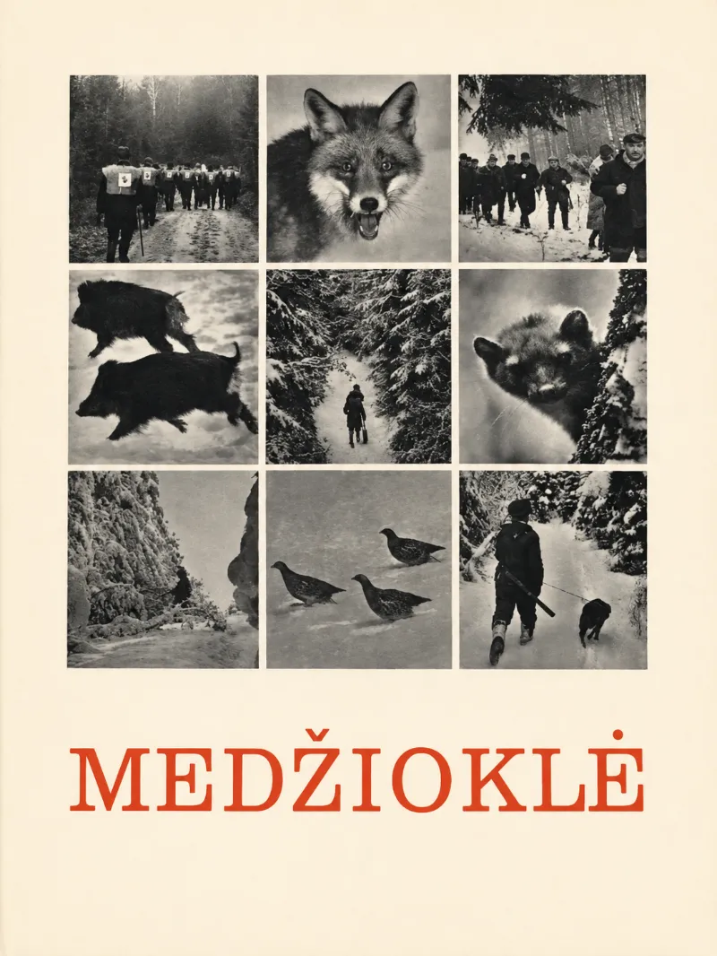 Medžioklė