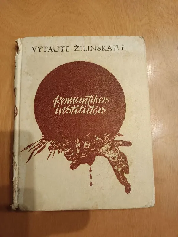 Romantikos institutas