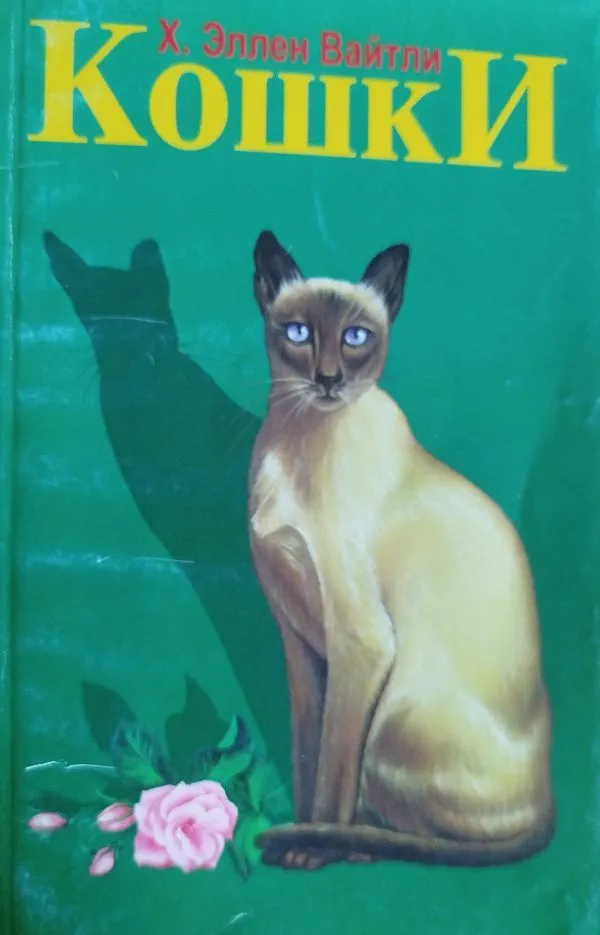 Кошки